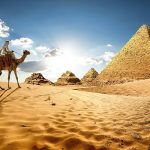 هشدار در خصوص اجرای تورهای گردشگری به مقصد مصر